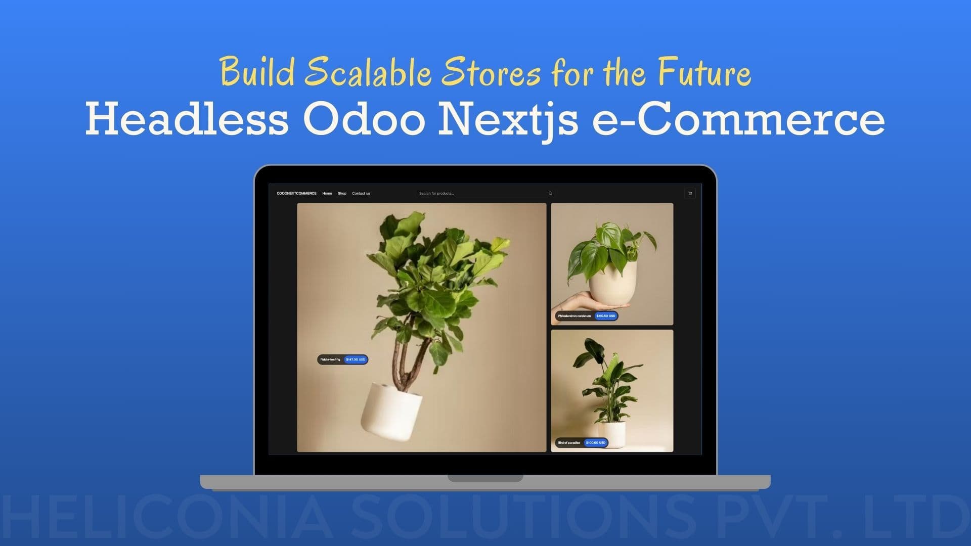 Headless Odoo Nextjs e-Commerce: Build Scalable Stores for the Future